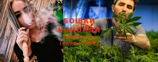 сатива Абдулино